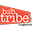 b2btribe.com icon