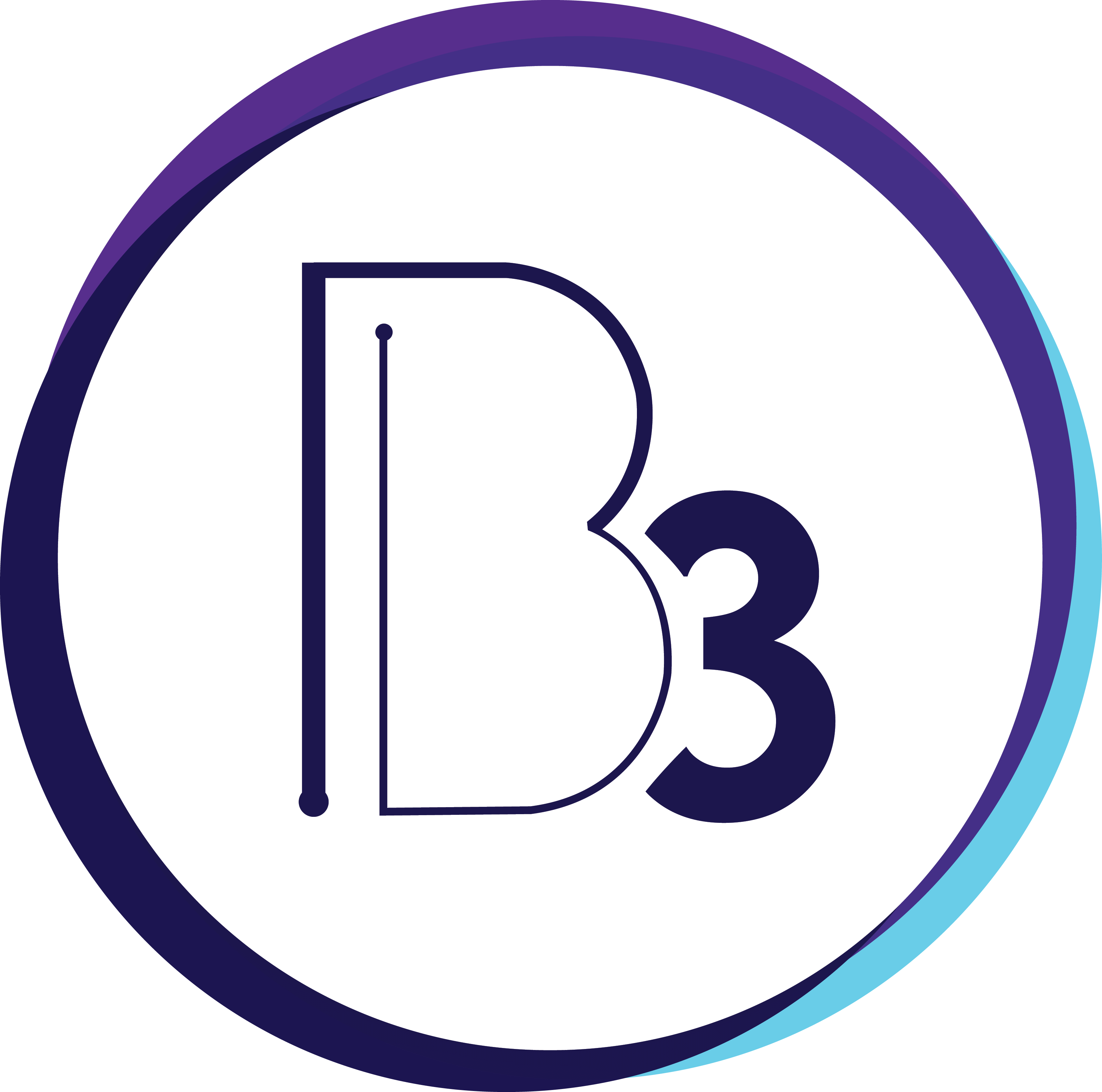 b3website.com icon