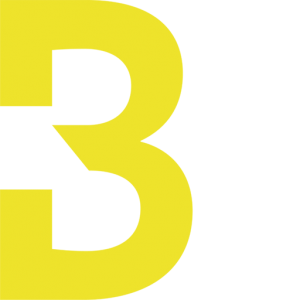 bach-maschinenbau.de icon