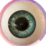 backlinkeye.com icon