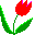 backyardgardener.com logo