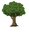 backyardoas.com logo