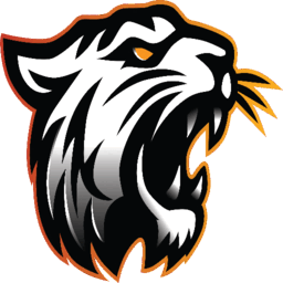 bagh999.com icon