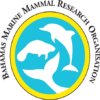 bahamaswhales.org icon