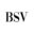 bahiasocialvip.com.br icon