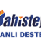 bahisteyizcanlidestek.com icon