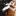 baldesparisiennes.com icon
