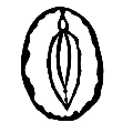 ballestayoni.ru icon