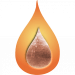 balsamico.shop icon