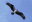 baltic.de icon
