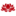 bambooua.com logo