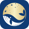 bandasceciliavillacidro.org icon