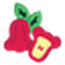 banxianovel.com icon