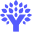 bany.dev icon