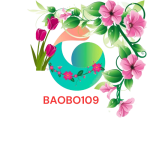 baobo109.com icon