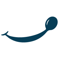 bap.org.ar logo