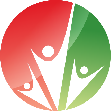 bapibd.com icon