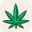 barcelonaweedmap.com icon
