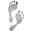 barefootllc.com icon