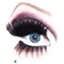 barewirenetworks.com icon