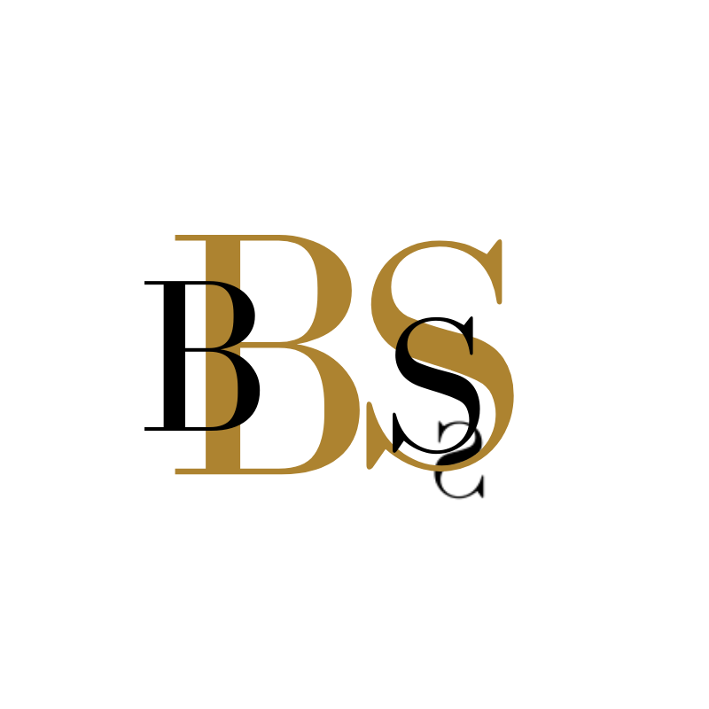 barokspiegel.nl icon