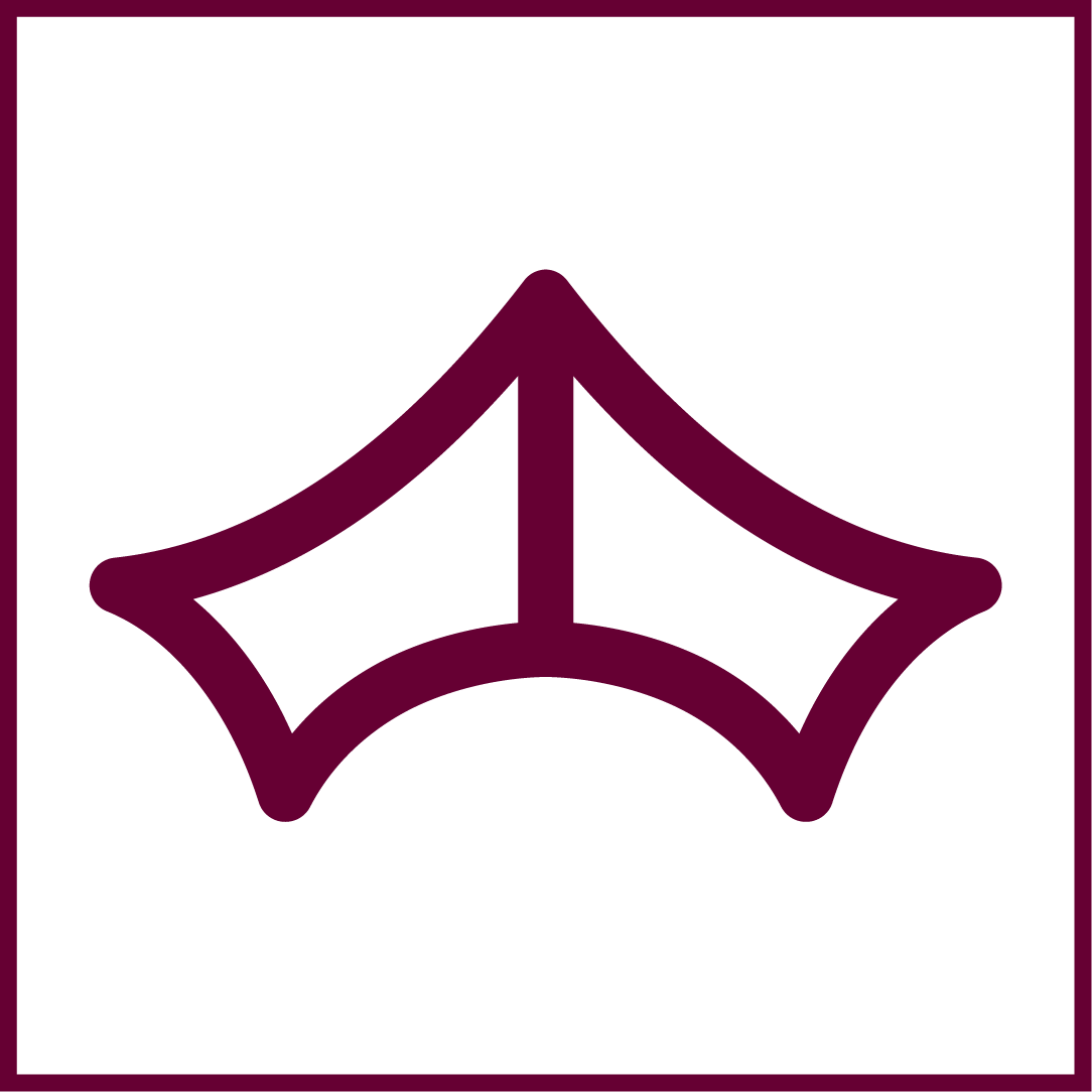 baronius.com icon