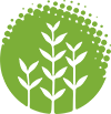 barrreport.com logo