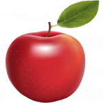 barsottijuice.com icon