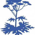 barszcz.edu.pl logo