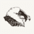 bartgeier.ch icon
