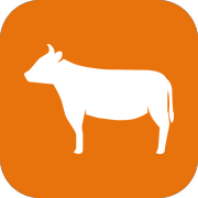 barulaganyi.co.bw logo