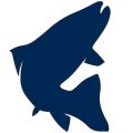 basaltchamber.org icon