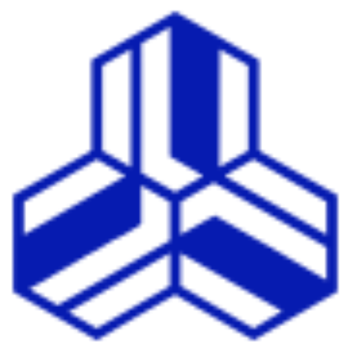 basicinsight.us icon