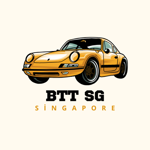 basictheorytestsg.com icon
