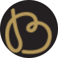 bassta.cz icon