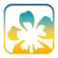 Domain Favicon