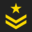 battlehouselasercombat.com icon