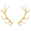 bavarianlodge.com icon