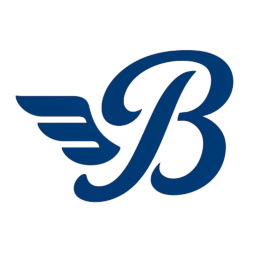 bayflyer.com icon