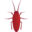 baystatepest.com icon