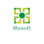 bboss45.com icon