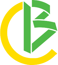 bcarddigital.com.br icon