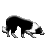 bccn.nl icon