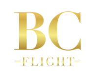bcflight.com icon