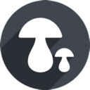 bckueser.com icon