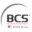 bcs-dentalalloys.com icon