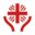 bdc-caritas.de icon