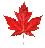 bdccanada.com icon
