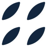 bdsa.com icon