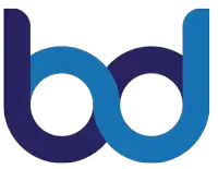 BDWEB IT logo